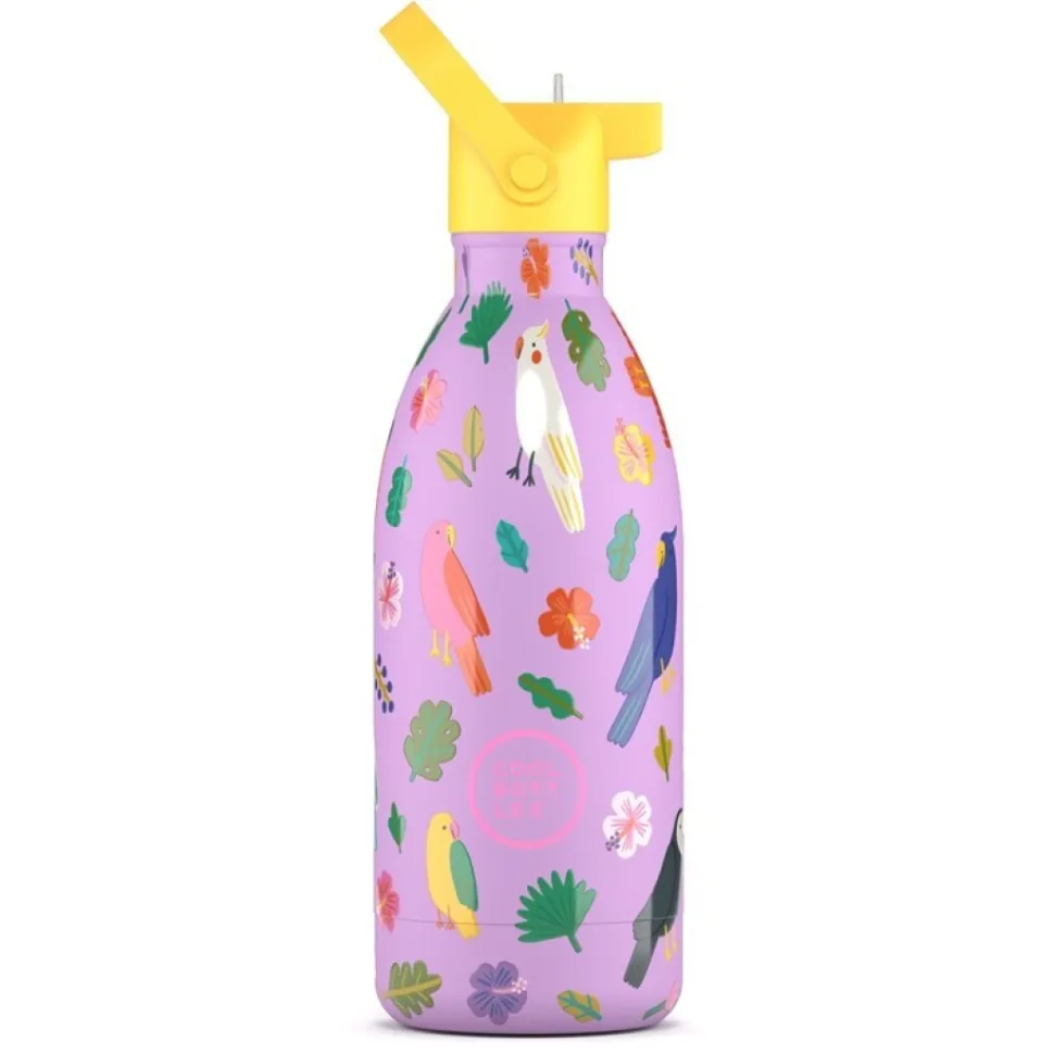 Botella Acero Fly Free 500ml · Cool Bottles