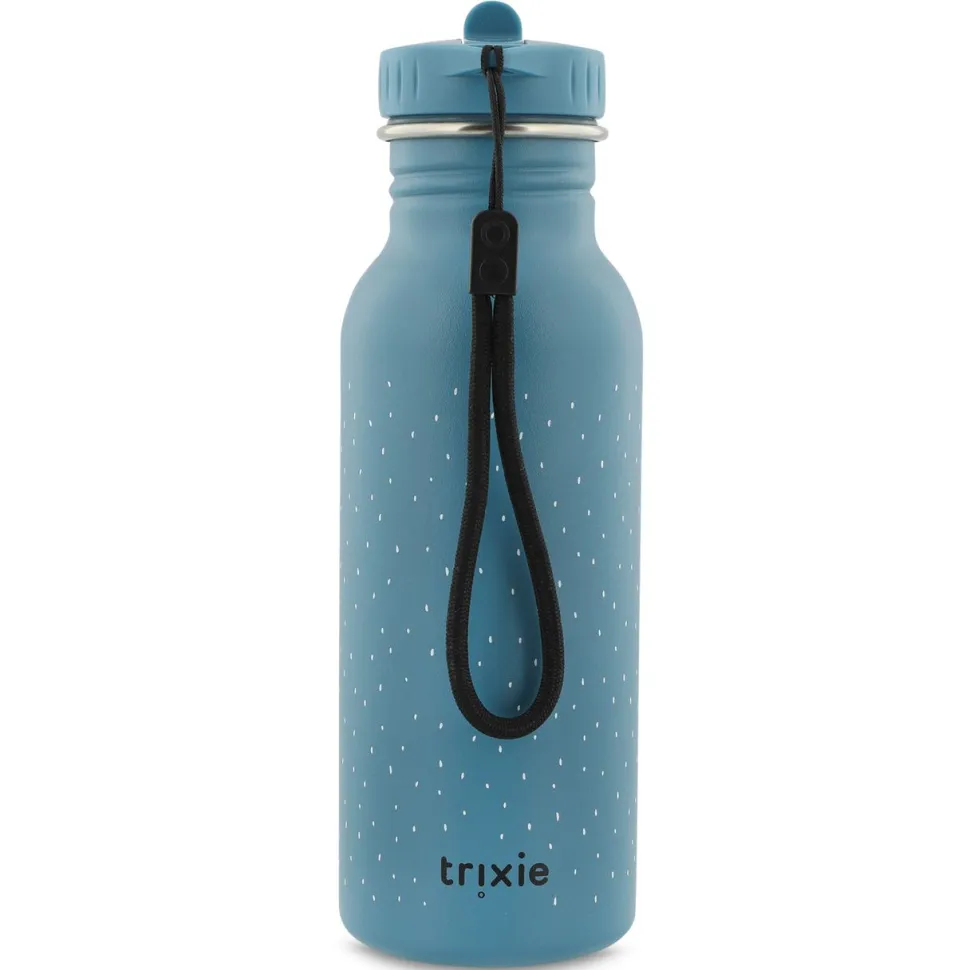 Botella Acero Mr. Triceratops 500ml · Trixie