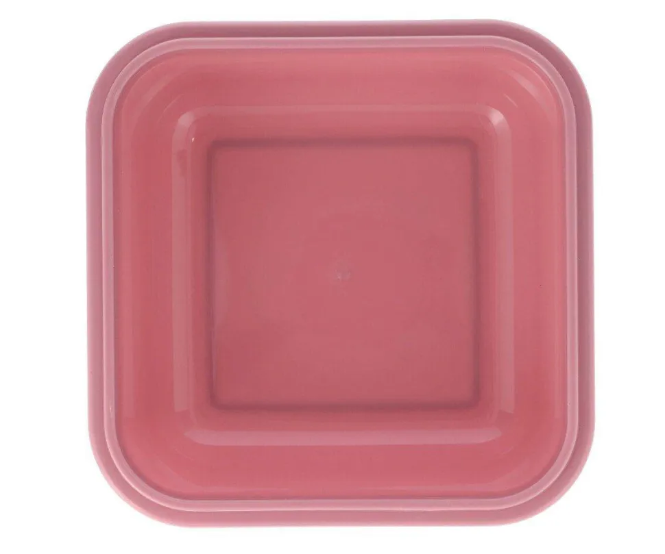 Caja Almuerzo Grande Fruits