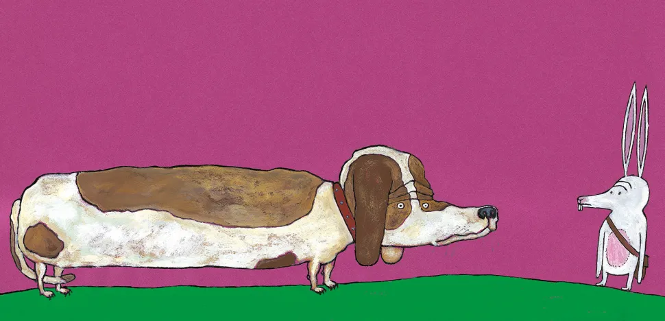 El pequeño conejo blanco