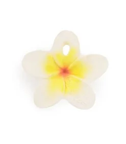 Hawaii The Flower