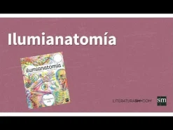 Ilumianatomía