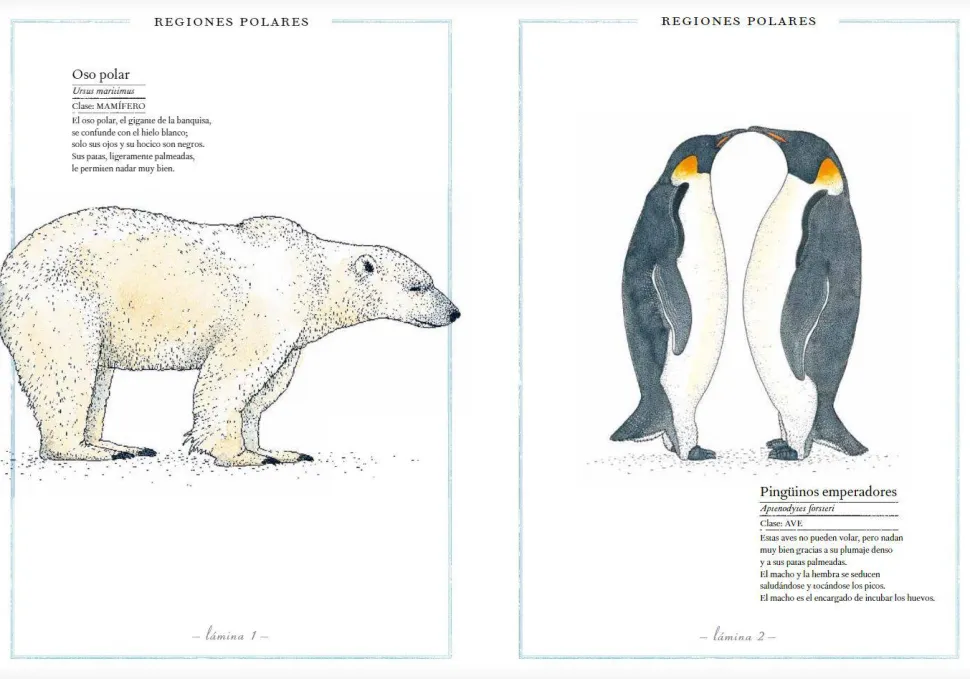 Inventario Ilustrado de Animales