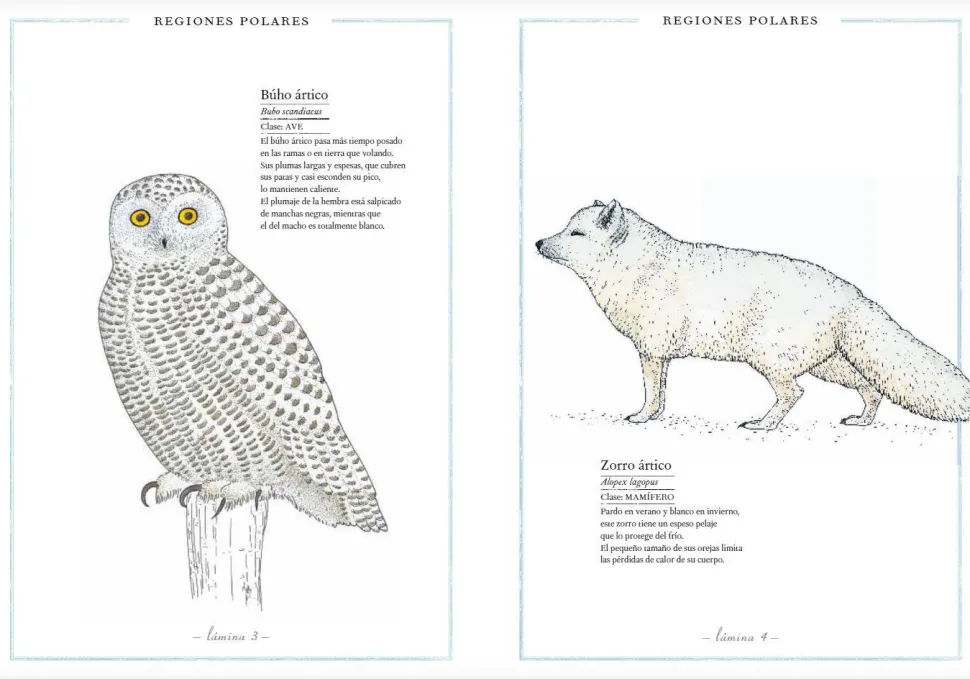 Inventario Ilustrado de Animales