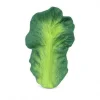 Kendall the Kale