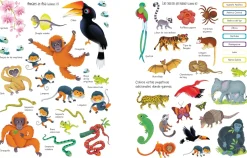 Libro de pegatinas · La Selva