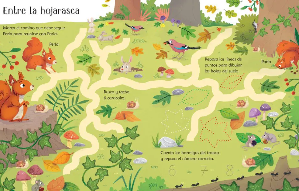 Libro Pizarra · Vamos al bosque