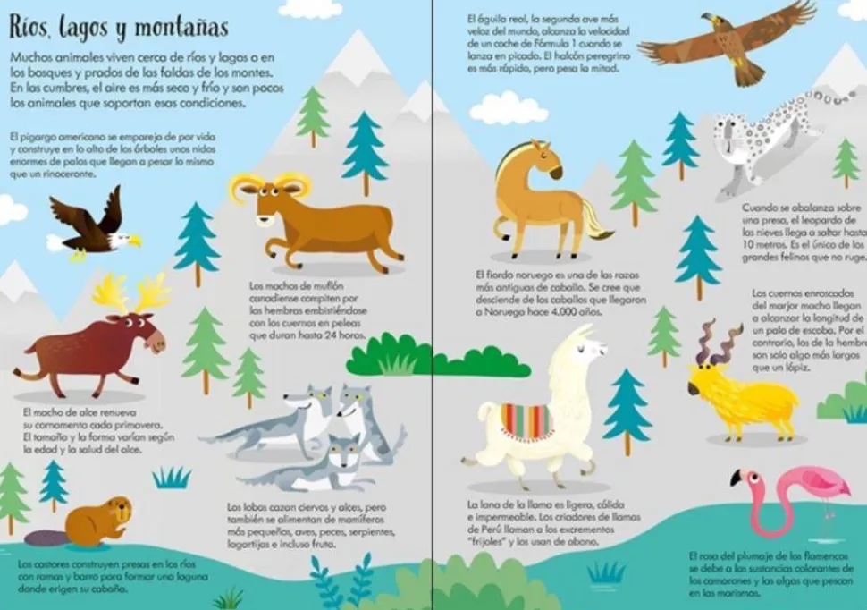 Libro Puzzle · Animales del Mundo