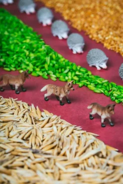 Petit Boum · Spy Bottle Forest