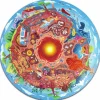 Puzle Mundo Subterráneo · Hape