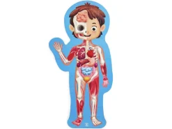 Puzzle Cuerpo Humano · Hape