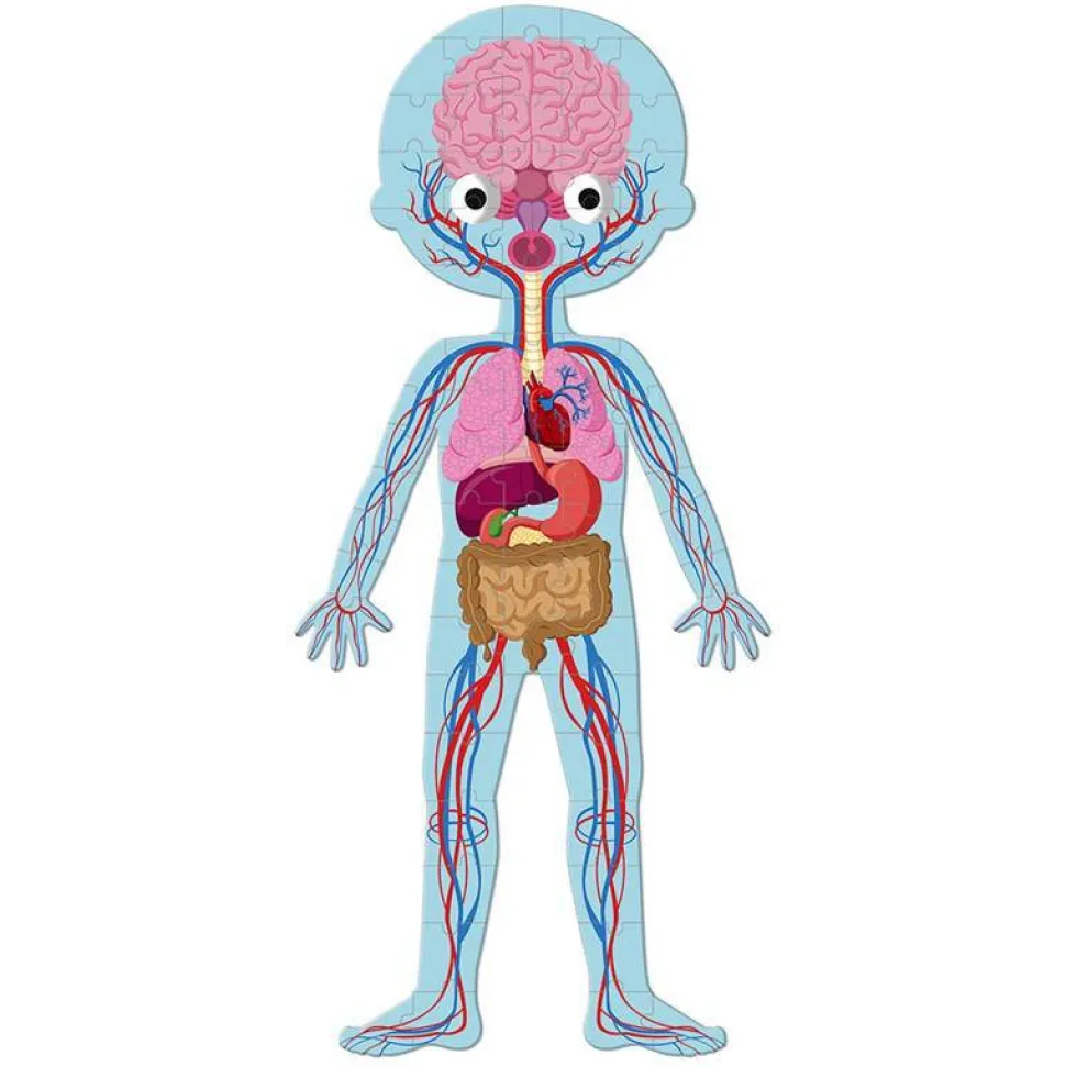 Puzzle · Cuerpo Humano - Janod