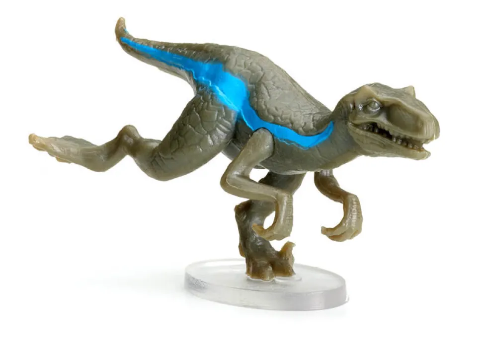 Raptor Race · FlexiQ