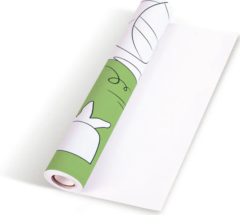 Rollo de papel para garabatos de Dinosaurios · Hape