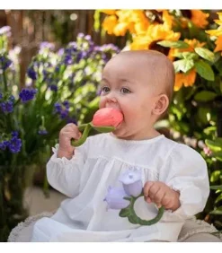 Theo the Tulip