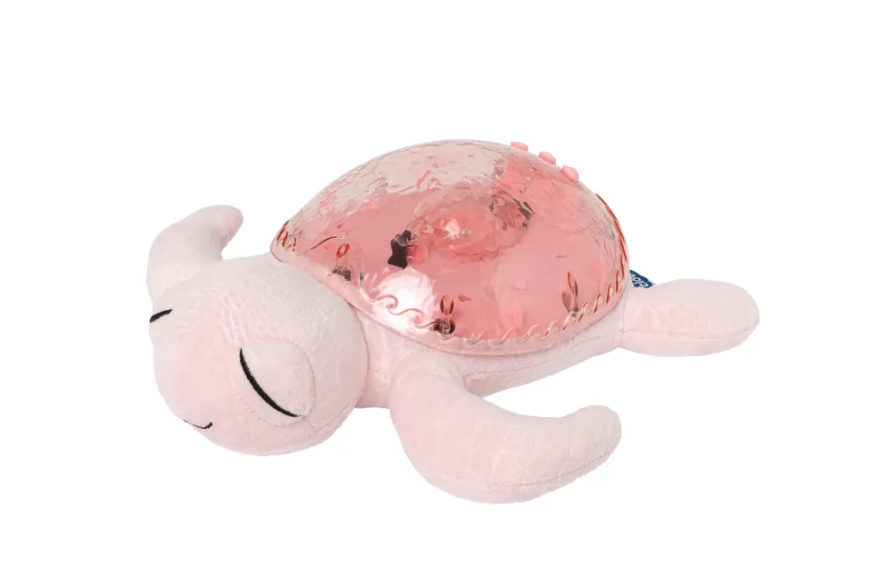Tranquil Turtle · Cloud B