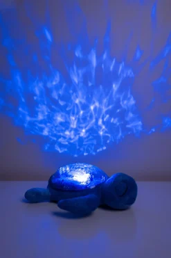 Tranquil Turtle · Cloud B