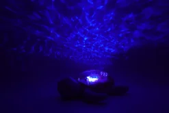 Tranquil Turtle · Cloud B