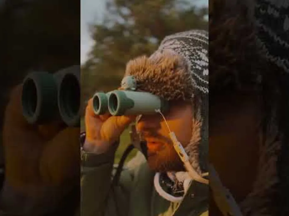 Zoo Eyes Dino · Zoofamily